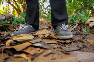 persons feet  standing on jungle path