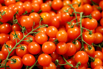 Red cherry tomatoes on green twigs, fresh vegetables in the market