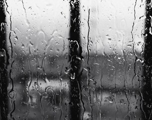 Rain.
Lluvia.