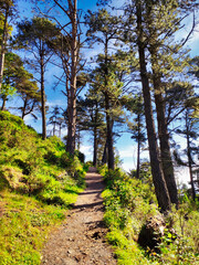 Fototapeta na wymiar Trail to El Pienzu peak from El Fitu, Sierra del Sueve, Colunga, Caravia and Parres municipalities, Asturias, Spain