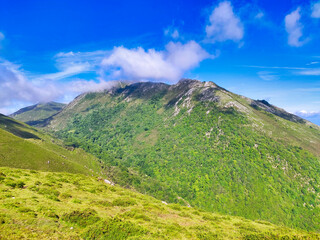 Fototapeta premium El Pienzu peak, 1160 m, Sierra del Sueve. Asturias, Spain