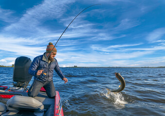 Pike fishing. Fisherman catch big muskie fish with splash in water - obrazy, fototapety, plakaty