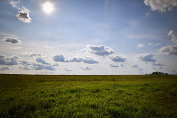 Obraz premium Czech nature is so bueatiful. Czech field in nature. No people.
