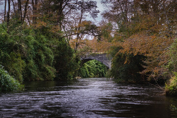 Old bridge over the river in autumn