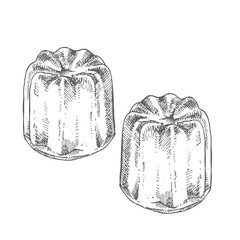 Hand drawn vector fresh french cannele illustration