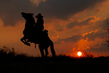 Fototapeta na wymiar Silhouette one cowboy is rearing horse in front of sunset on slope near tree. Beautiful sky with natural light as background.