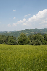 Obraz premium Lavanda di Sale San Giovanni