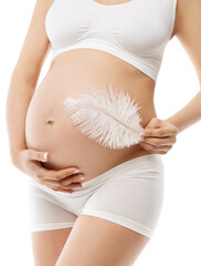 Pregnant Woman Belly Skin Care. Future Mother in White Cotton Underwear embrace Abdomen and massage with Feather. Pregnancy Healthy Cosmetics. Maternity Body Beauty Concept over isolated Background