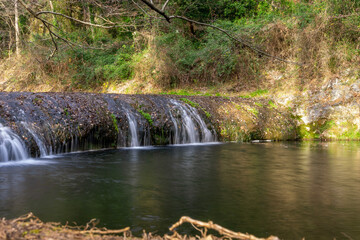 waterfall in the woods