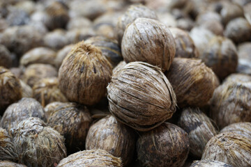 betel nut or areca nut drying on the floor in the sun