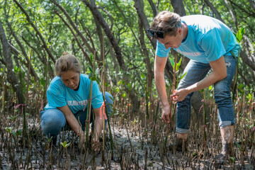 Fototapeta premium Volunteer with planting tree in mangrove forest,volunteering, charity, people, ecology concept. reduce global warming.
