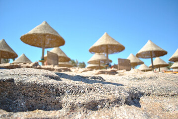 In the background, a blurred background has rows of wicker beach umbrellas for relaxing on the beach. The foreground is also blurry.