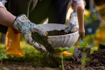 Eco friendly gardening. Woman improving garden bed soil for planting, fertilizing with compost. Organic matter soil amendment. - obrazy, fototapety, plakaty