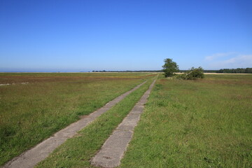 road in the field