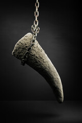 Rhinoceros horn innocently executed by death penalty due to poaching. - 511921791