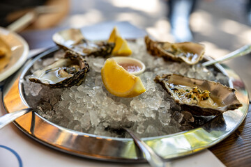 Oysters on ice over the table