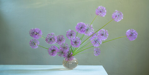 bouquet of flowering decorative onions in a glass vase