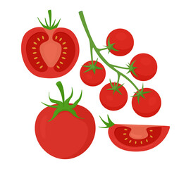 Red tomato and cherry tomato set. Vector illustration of fresh ripe vegetables isolated on white background.