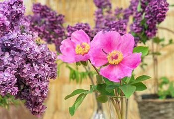 Floral arrangement with pink peonies Virgilius and lilac branches.