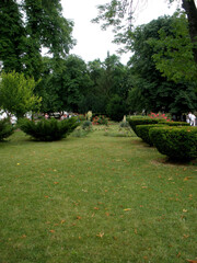 garden in the park