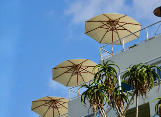 rooftop deck with open umbrellas for shade