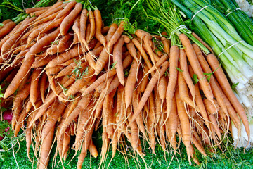 farm fresh organic carrots on display at the market