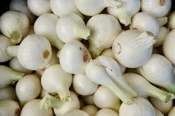 closeup of fresh organic onions at the market