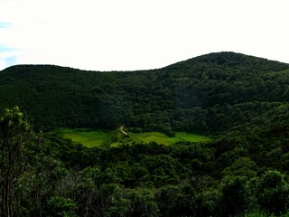 Landscape with Azores dense vegetation and incredible views of the Atlantic Ocean