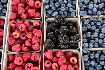red, blue and black berries at the market