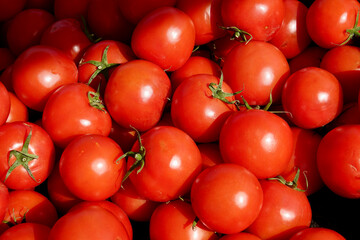 fresh tomatoes on display at the farmers market