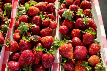 strawberries at the farmers market