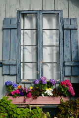 Fototapeta na wymiar neglected house exterior with colorful flowers