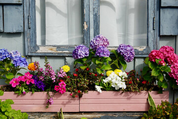 neglected cottage with brightly colored flowers in the window