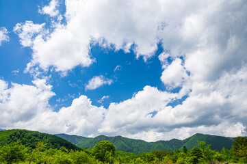 初夏の青空と山
