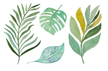 Fototapeta na wymiar Tropical watercolor leaves