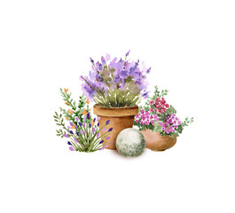garden flowers in pots and plants, watercolor illustration isolated on white background.	
