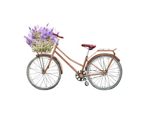 Fototapeta na wymiar vintage bicycle with a basket of lavender flowers, watercolor illustration.