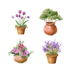 set of garden flowers in pots and plants, watercolor illustration isolated on white background.	
