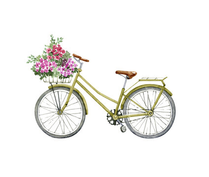 green bicycle with a basket of flowers, watercolor illustration.