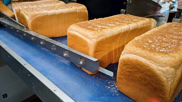 Loafs of bread in a bakery on an automated conveyor belt