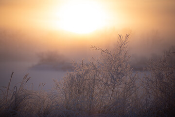 Fototapeta na wymiar Winter Sunrise-Arapahoe Bend Ponds