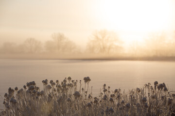 Winter Sunrise-Arapahoe Bend Ponds