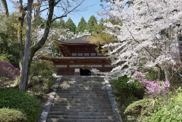 春の三井寺　一切経蔵　滋賀県大津市