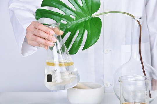 Alternative herbal medicine, Mortar with healing botanical herbs, Natural organic botany and scientific glassware, Natural skincare beauty products, Research and development concept.