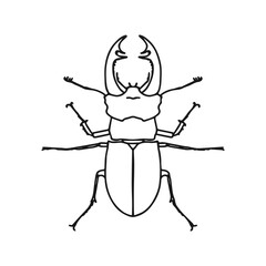 Isolated contour drawing of a beetle on a white background. Doodle style. A design element.