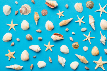 Summer time concept Flat lay composition with beautiful starfish and sea shells on colored table, top view