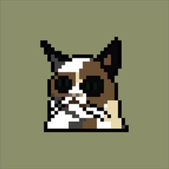 Grumpy cat 8 bit style vector. Funny pixel art illustration. 