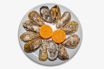 Fresh Atlantic oysters from the southern coast of Brazil, with ripe clove lemon. Top View