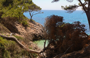 wild coast - Canyamel - Mallorca