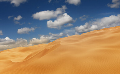 Fototapeta na wymiar Panorama of sand dunes Sahara Desert at sunset. Endless dunes of yellow sand. Desert landscape Waves sand nature, 3d illustration 